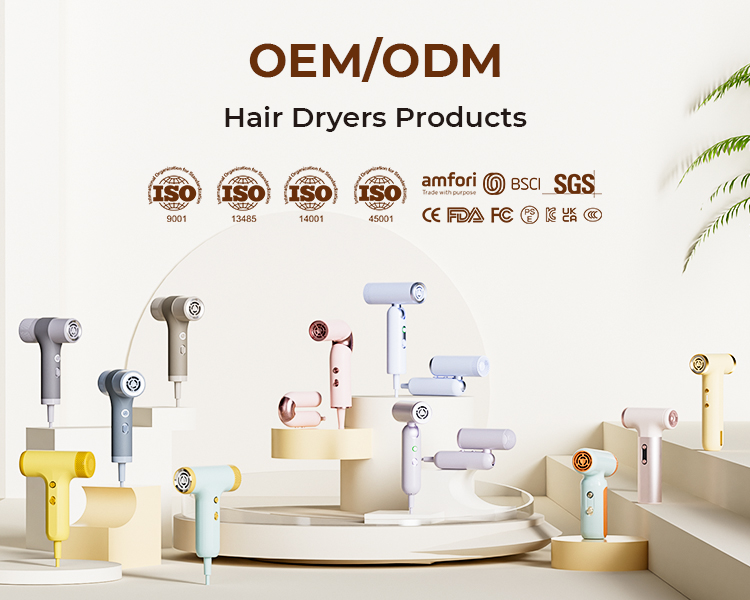  OEM/ODM Hair Dryer Products Supplier 